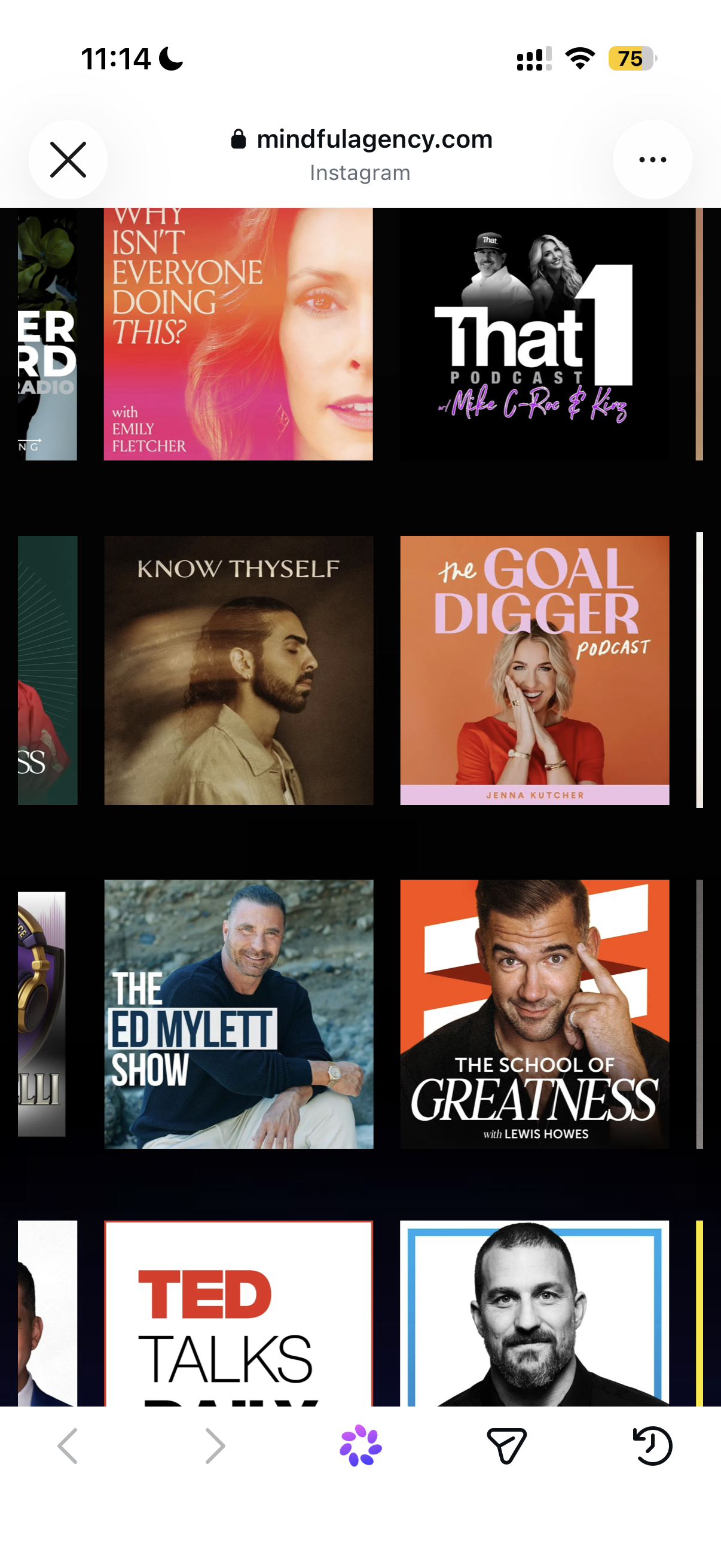 Podcast bookings - The Goal Digger, The Ed Mylett Show, The School of Greatness, TED Talks.